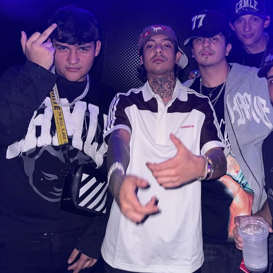 BOLSO OFF-WHITE ZEBRA VICE