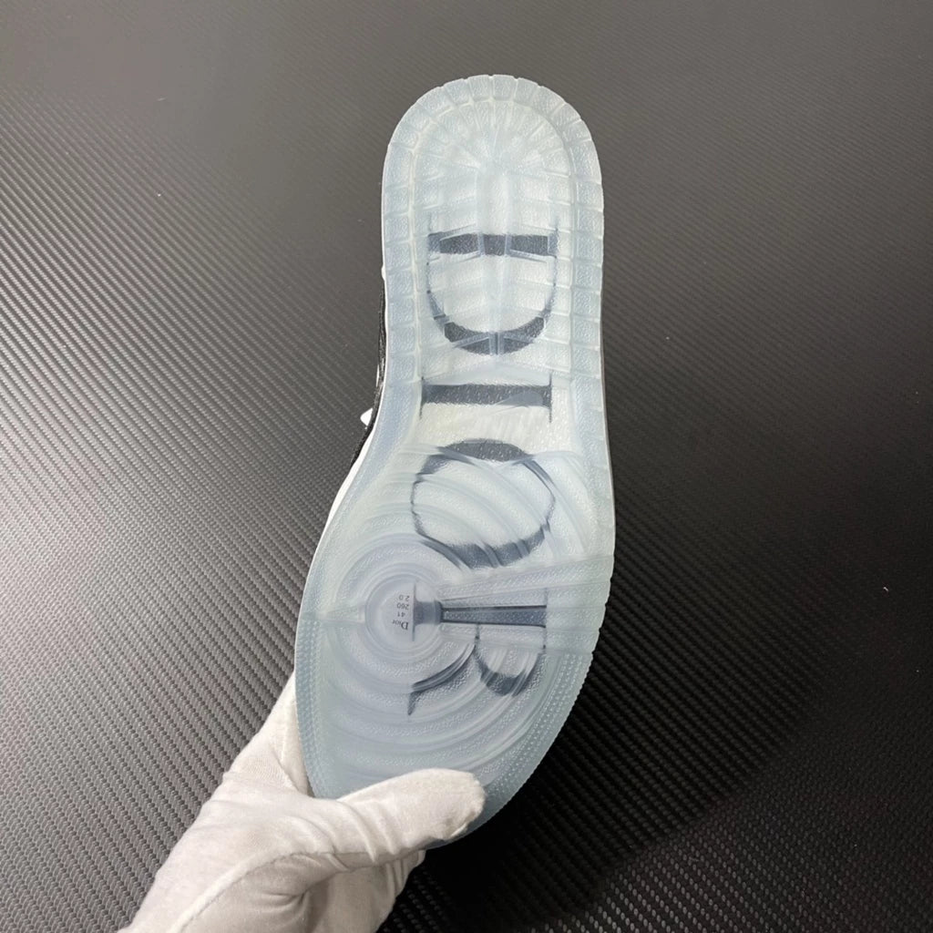 JORDAN 1 HIGH X DIOR VICE